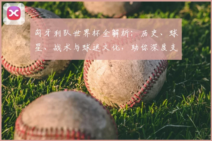 匈牙利队世界杯全解析:历史、球星、战术与球迷文化,助你深度支持
